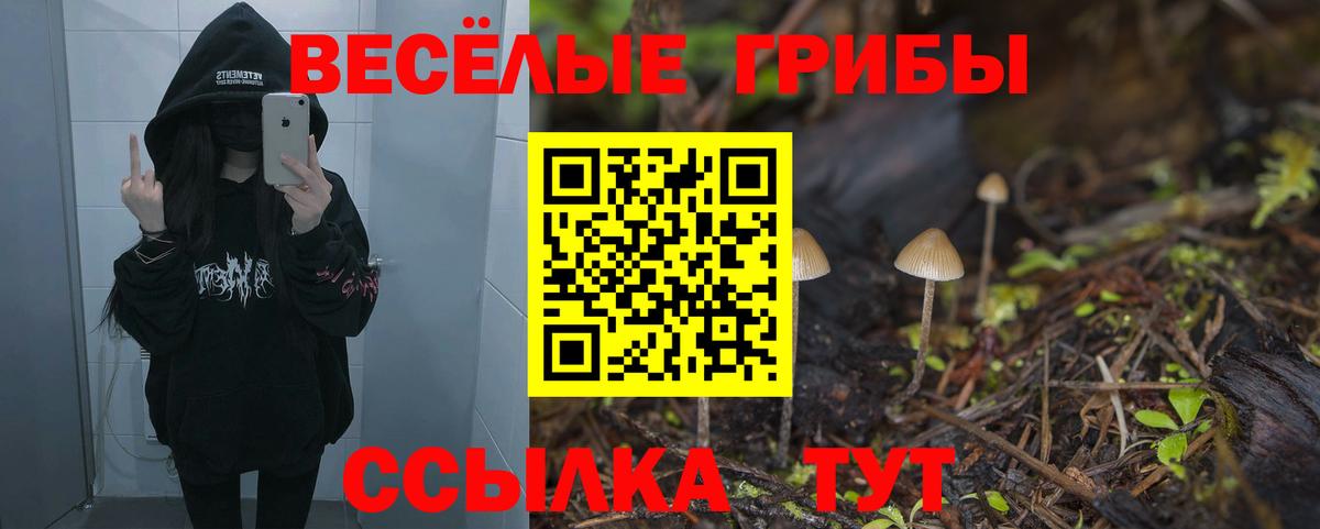 Псилоцибиновые грибы мицелий  Вход с VPN  Кохма 